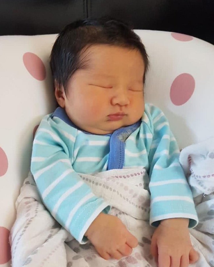 全年免费综合资料大全