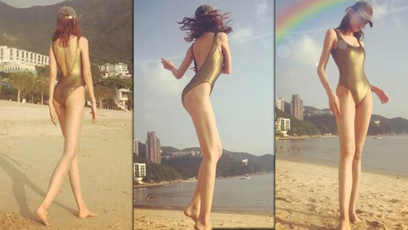 全年免费综合资料大全