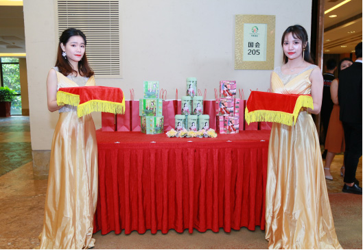 全年免费综合资料大全