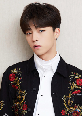 全年免费综合资料大全