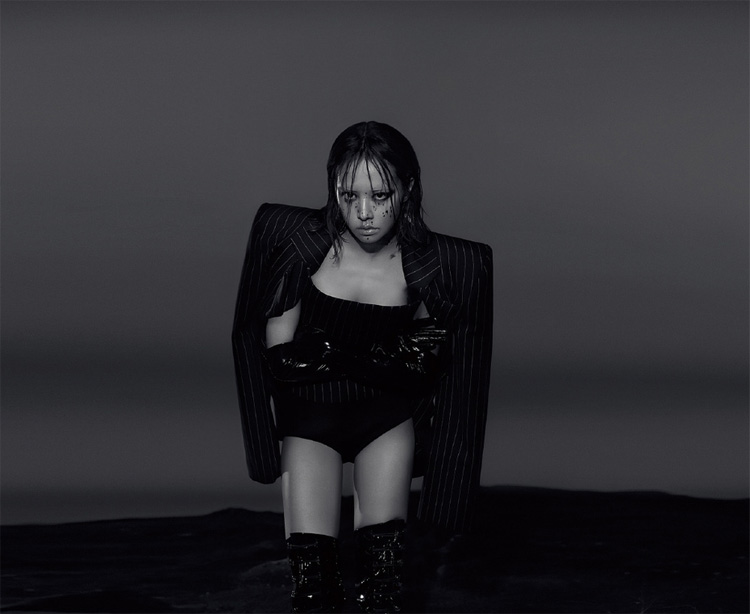 全年免费综合资料大全