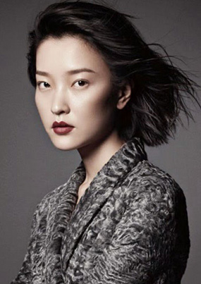 全年免费综合资料大全