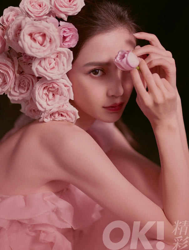 全年免费综合资料大全