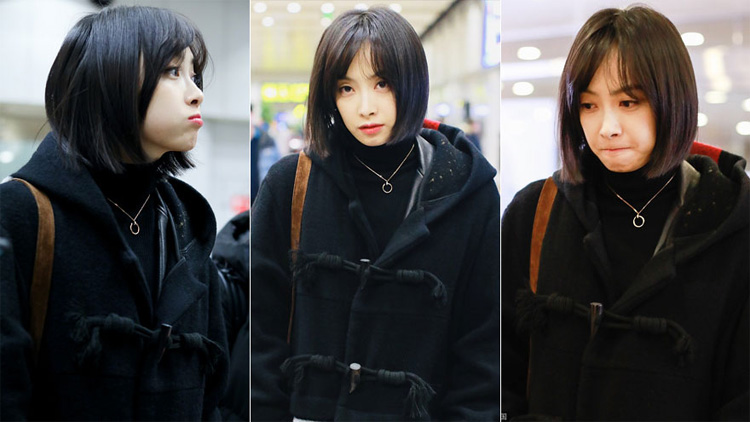 全年免费综合资料大全