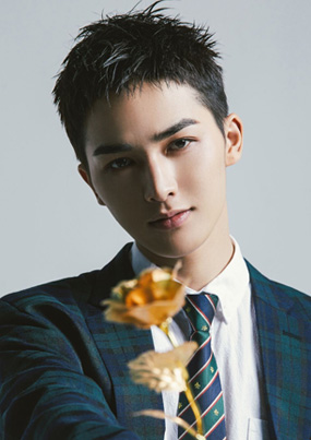 全年免费综合资料大全