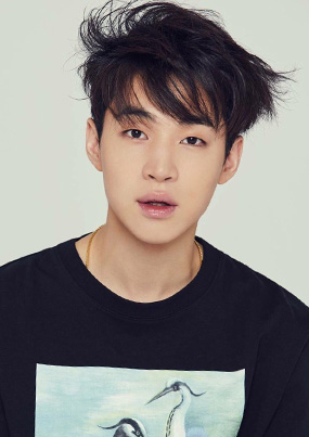 全年免费综合资料大全