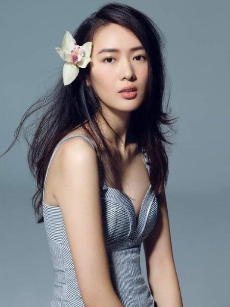 全年免费综合资料大全